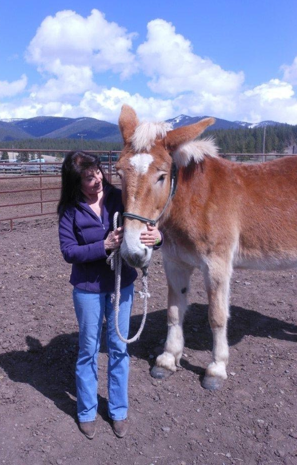 Dutchess Molly Mule and JR